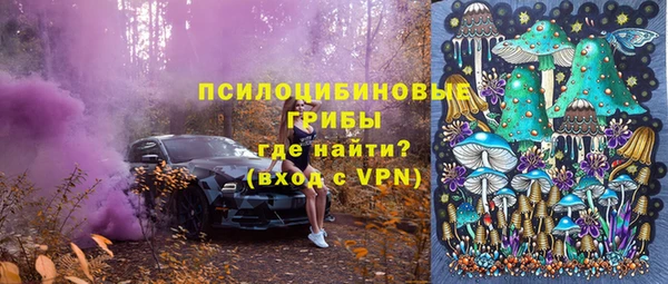 mdpv Бугульма